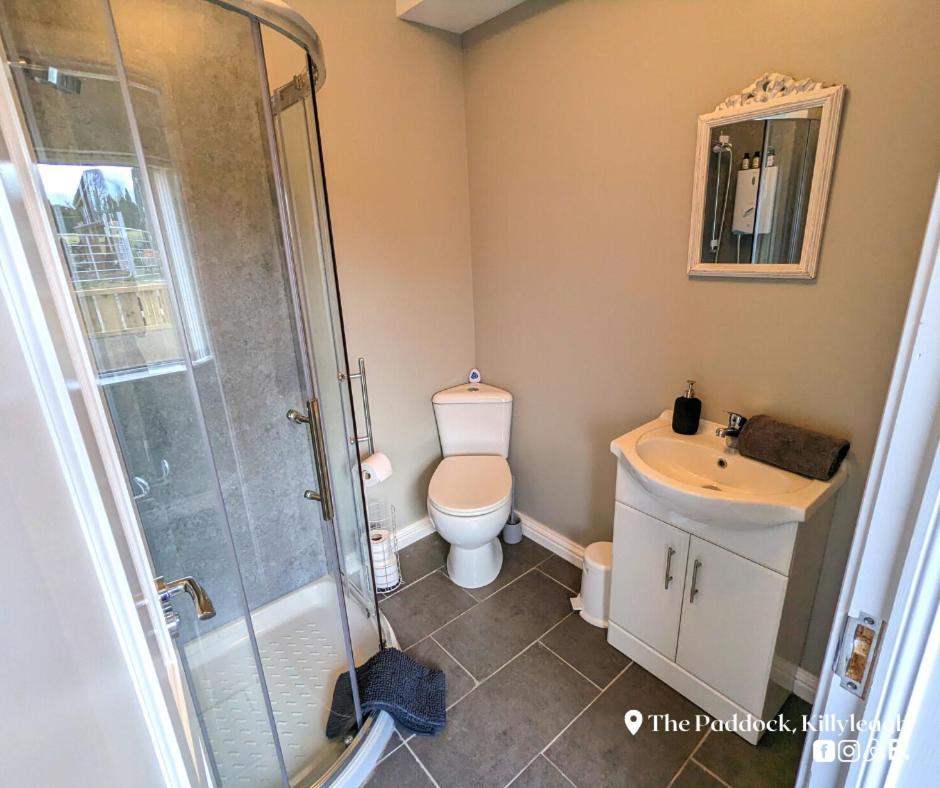 The Paddock Apartment Killyleagh Bagian luar foto