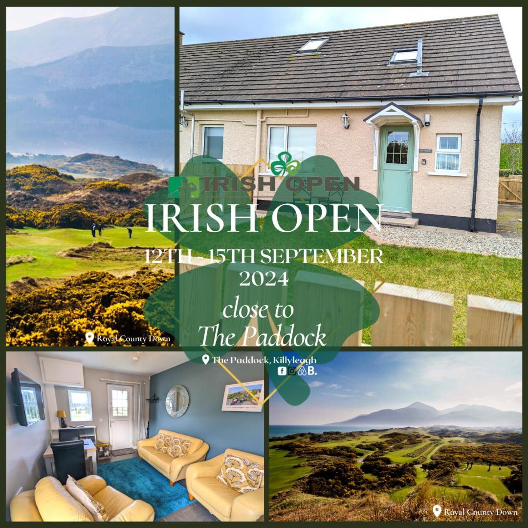 The Paddock Apartment Killyleagh Bagian luar foto