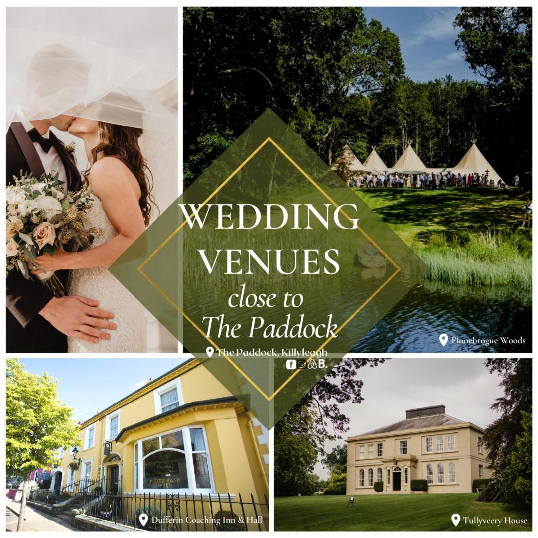 The Paddock Apartment Killyleagh Bagian luar foto
