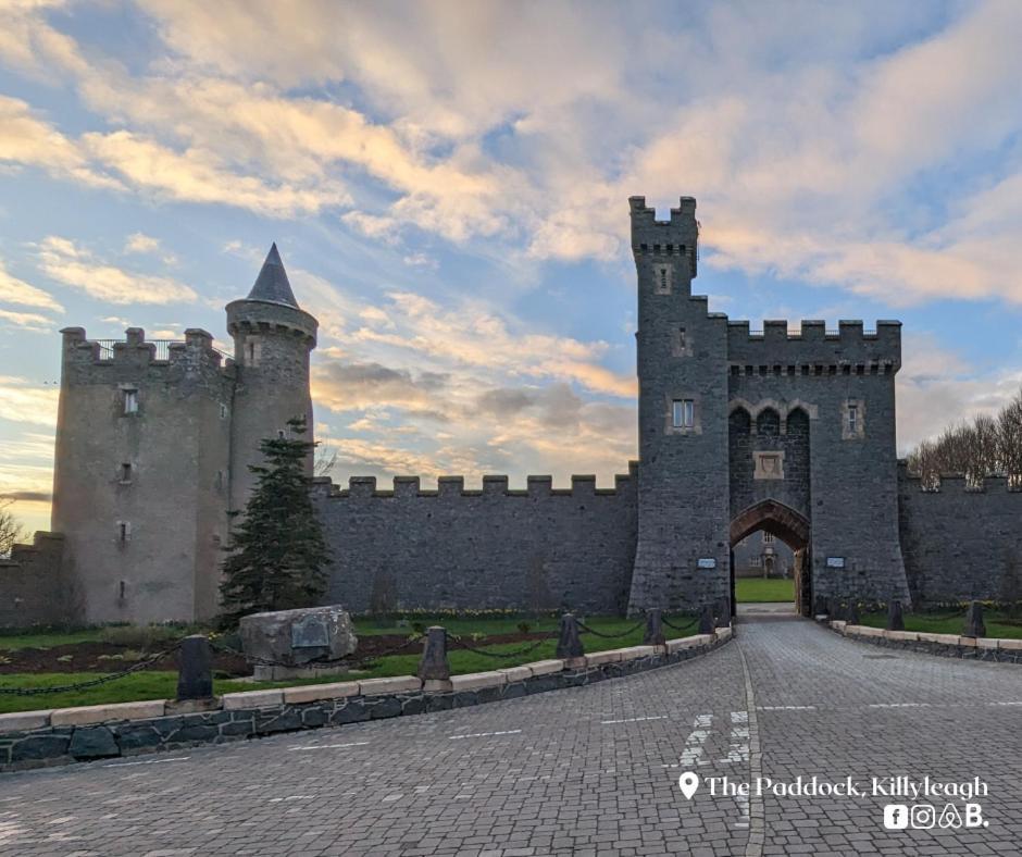 The Paddock Apartment Killyleagh Bagian luar foto