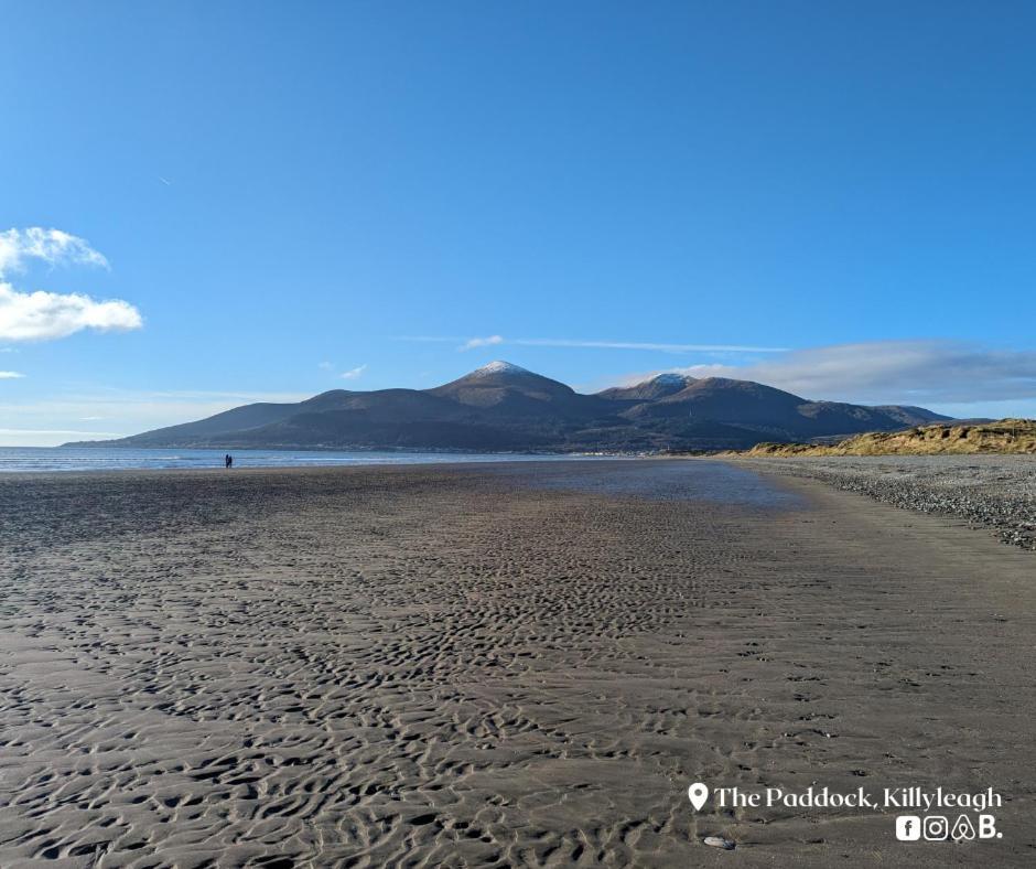 The Paddock Apartment Killyleagh Bagian luar foto