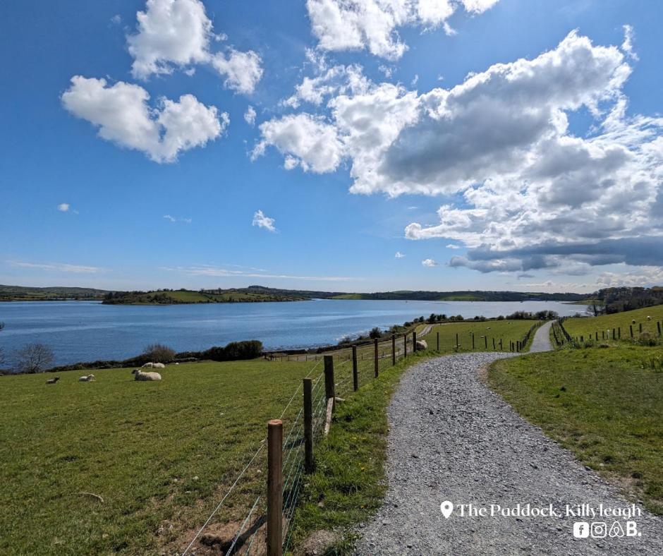 The Paddock Apartment Killyleagh Bagian luar foto