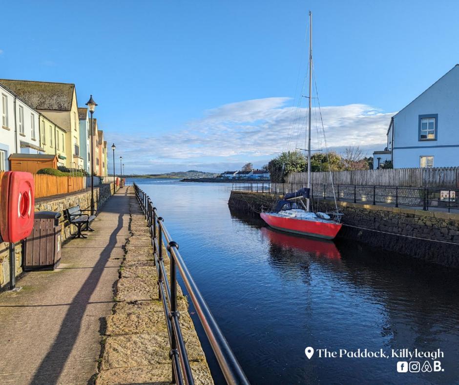 The Paddock Apartment Killyleagh Bagian luar foto