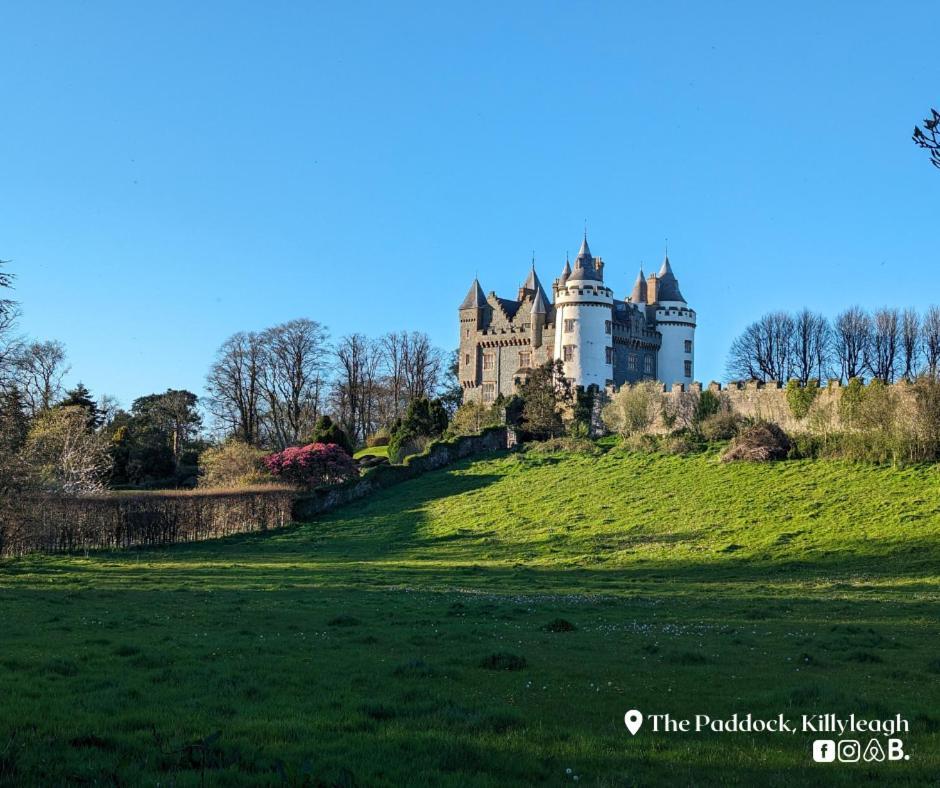 The Paddock Apartment Killyleagh Bagian luar foto